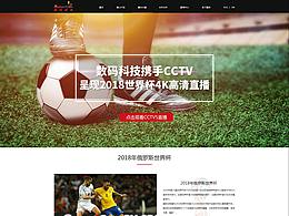 企业网站世界杯界面