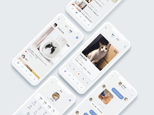 Cat Chat 猫咪社交APP