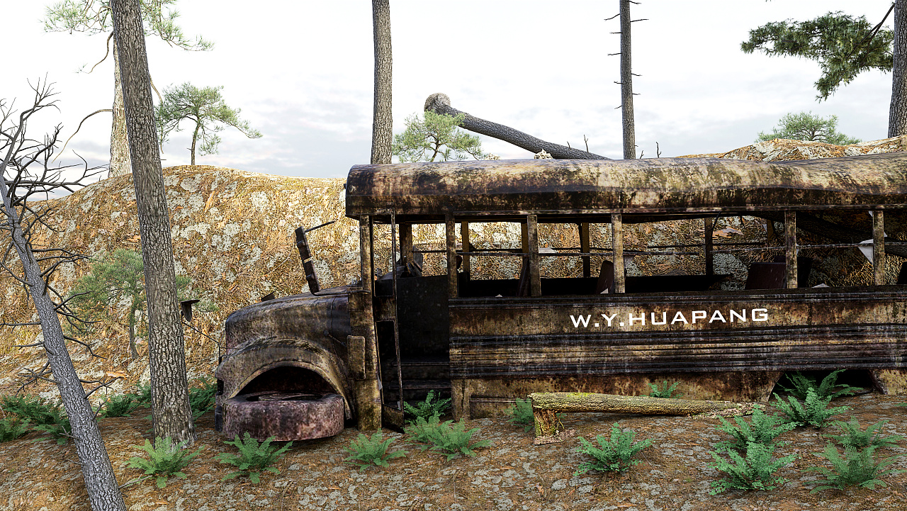 废弃的林中校车