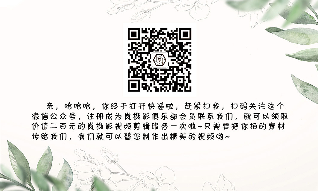 电商首页、主图、车图等设计