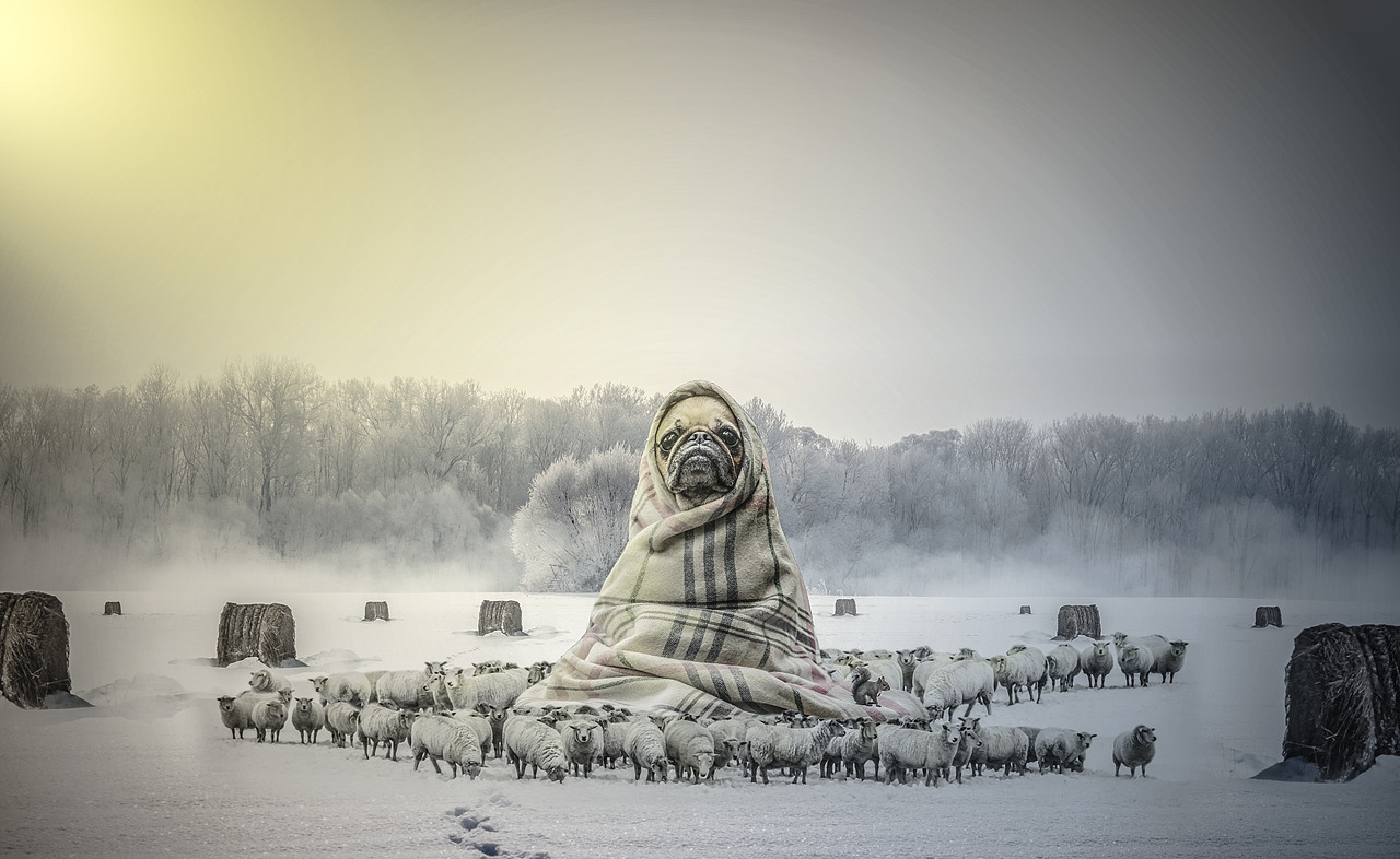 场景合成/海报/幻想/P图（图ZNDc4MTg2ODg=） - 海报 - 站酷设计师林叮咚原创素材 - 站酷ZCOOL