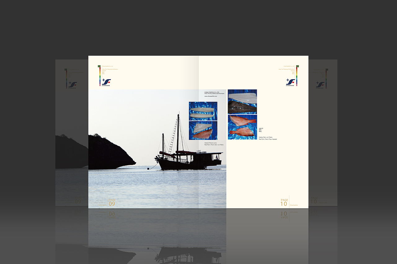 产品手册（图ZMTYxMjU5OTI=） - 书籍/画册 - 站酷设计师a_k_y_t原创素材 - 站酷ZCOOL