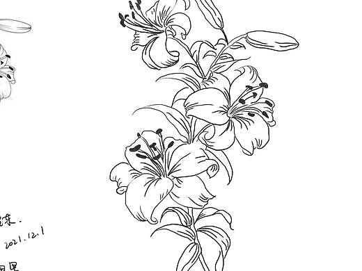 線稿練習(xí)（個人主頁-ZNTY3MTczMzY=） - 繪本 - 站酷設(shè)計師wx星原創(chuàng)素材 - 站酷ZCOOL