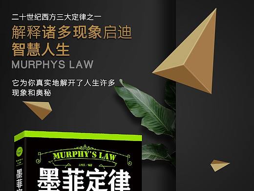 图书详情页《墨菲定律启示录》