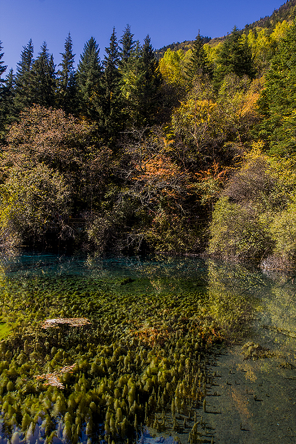 2014·10九寨沟（图ZMjA5NDc5MTI=） - 风光摄影 - 站酷设计师RyanShao原创素材 - 站酷ZCOOL