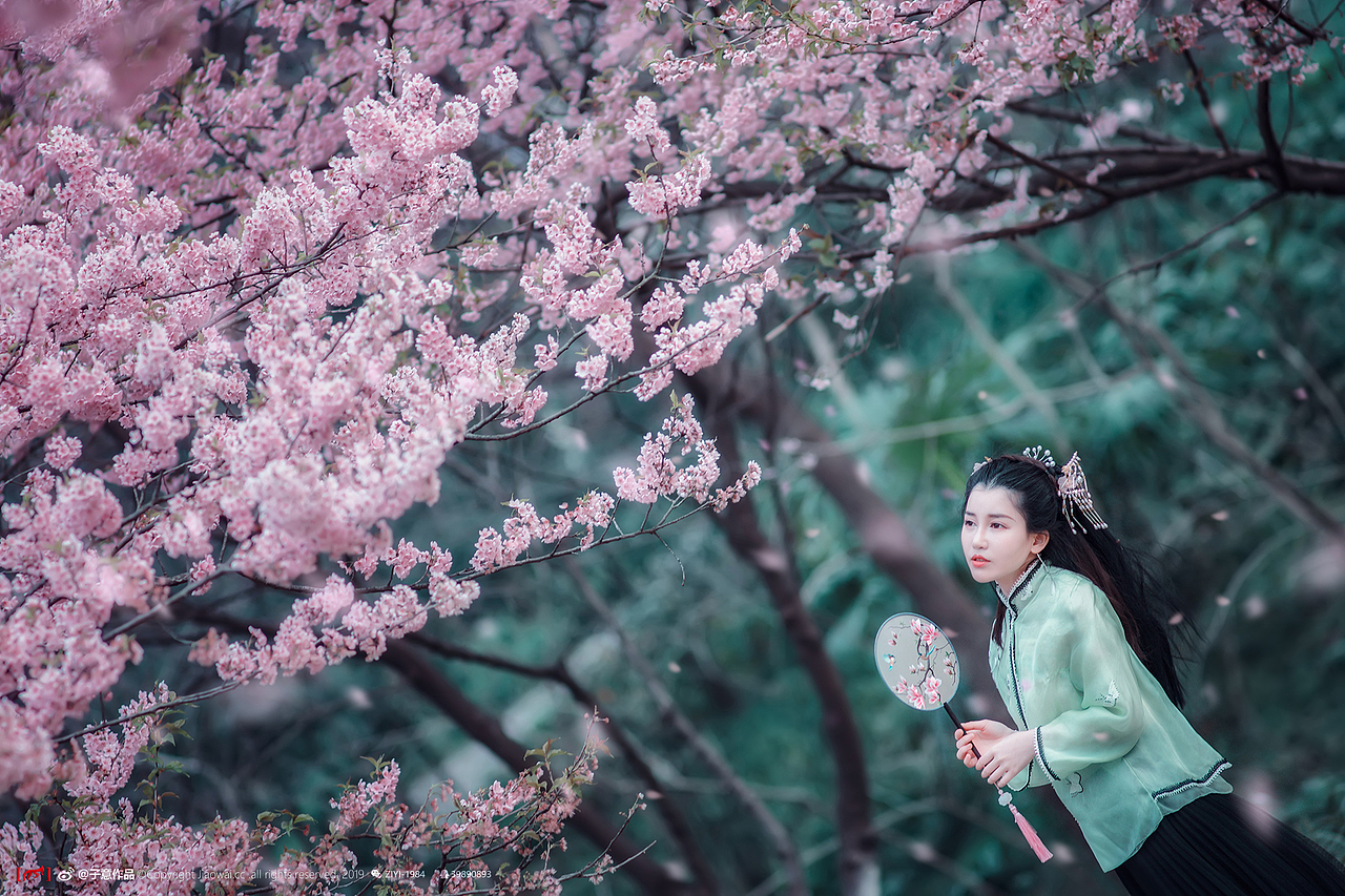 《樱花落，纷如雪》（图ZMTUyMzcyOTcy） - 人像摄影 - 站酷设计师摄影师子意原创素材 - 站酷ZCOOL