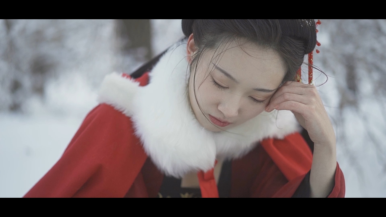 『我的贰零贰壹』