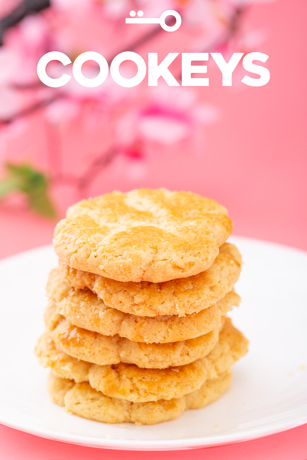 核桃酥 桃酥(酥掉渣)一分钟快拍