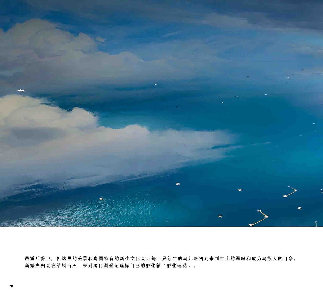 鸟国绘本上（图ZMjIyMDQ2OTg4） - 概念设定 - 站酷设计师maoxiaojieM原创素材 - 站酷ZCOOL