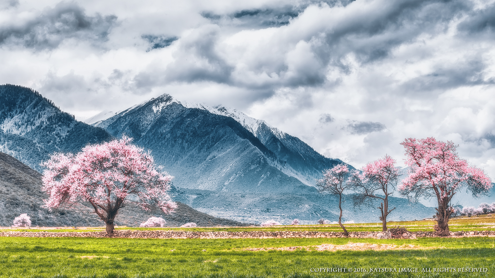 啵叽一口的个人主页（封面预览） - 主页封面设置 - 站酷设计师啵叽一口原创素材 - 站酷ZCOOL