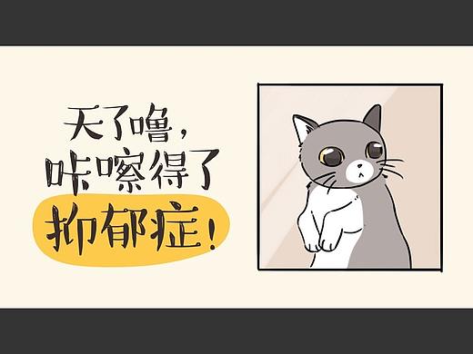 第十九话：霸王花的后宫秘史之真假咔嚓记