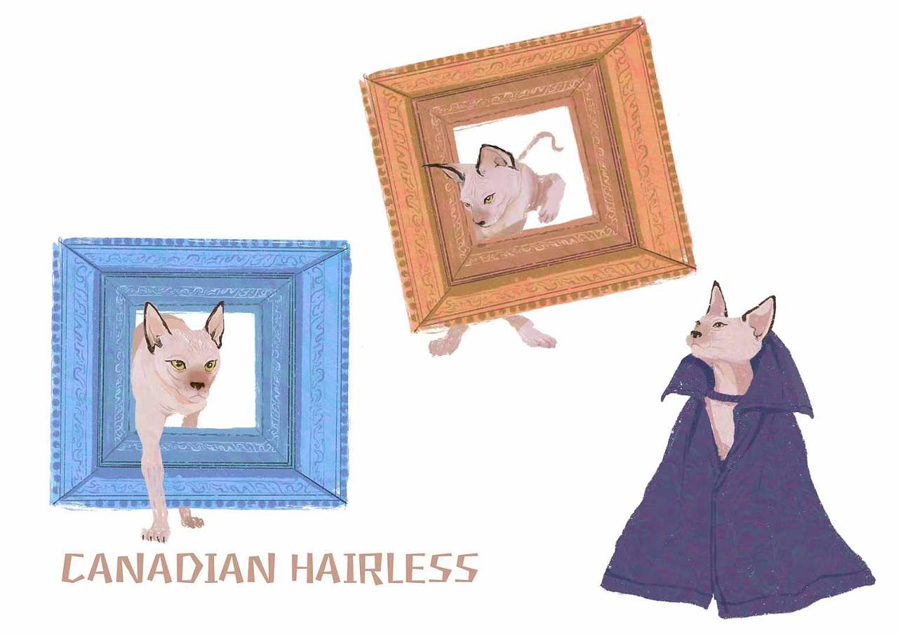 2021年终总结（图ZMjg2NDYwNzYw） - 创作习作 - 站酷设计师是海贼小胡原创素材 - 站酷ZCOOL