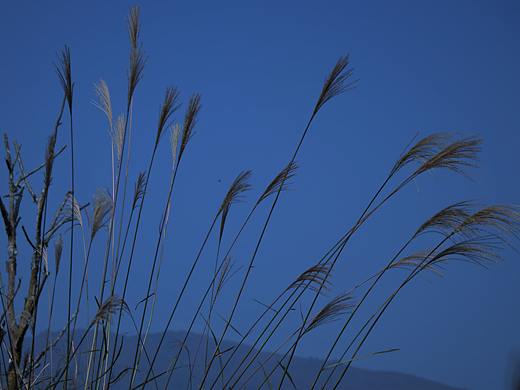 藍與光（個人主頁-ZNTEwNTM4MzY=） - 風光攝影 - 站酷設(shè)計師歇比小火怪原創(chuàng)素材 - 站酷ZCOOL