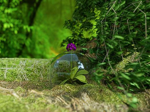 森林中的一抹红