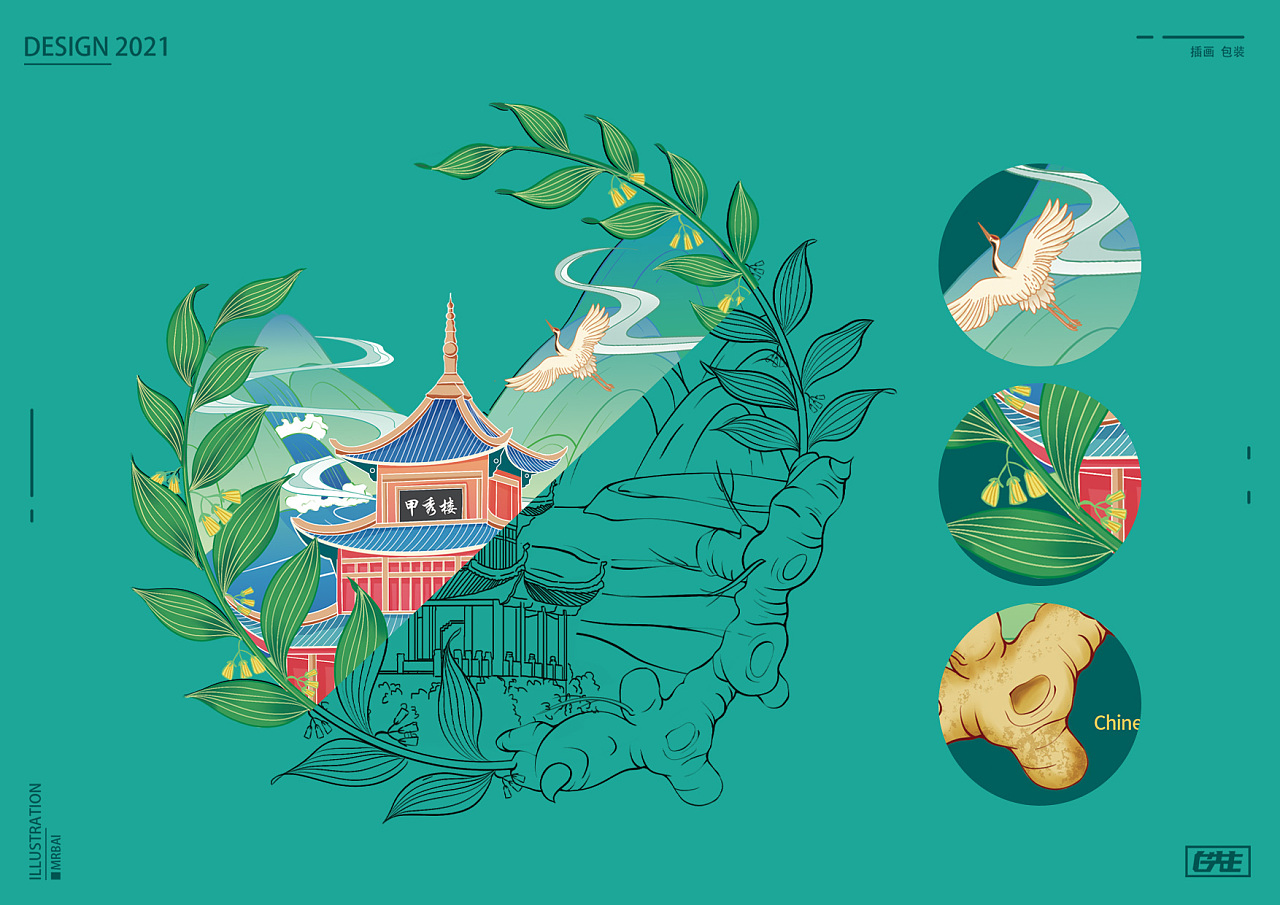 贵州特产黄精插画包装设计