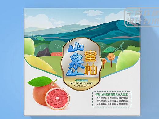 山泉 蜜柚 手绘插画创意