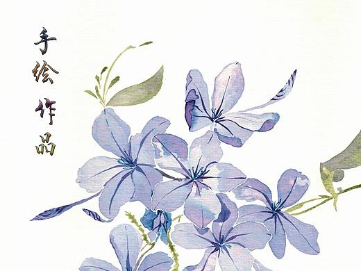 手绘作品