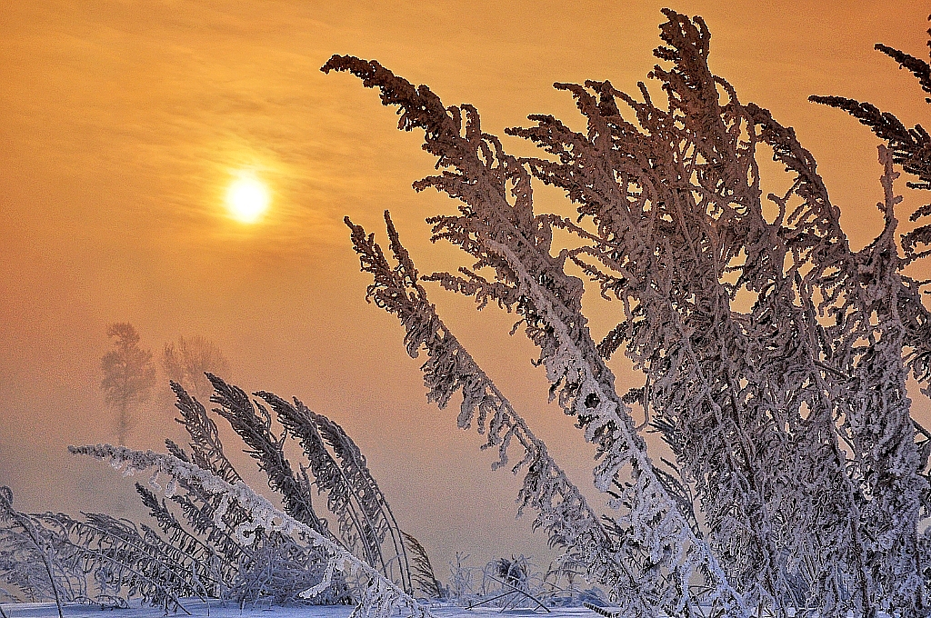 雪谷雪乡长白山魔界雾凇岛