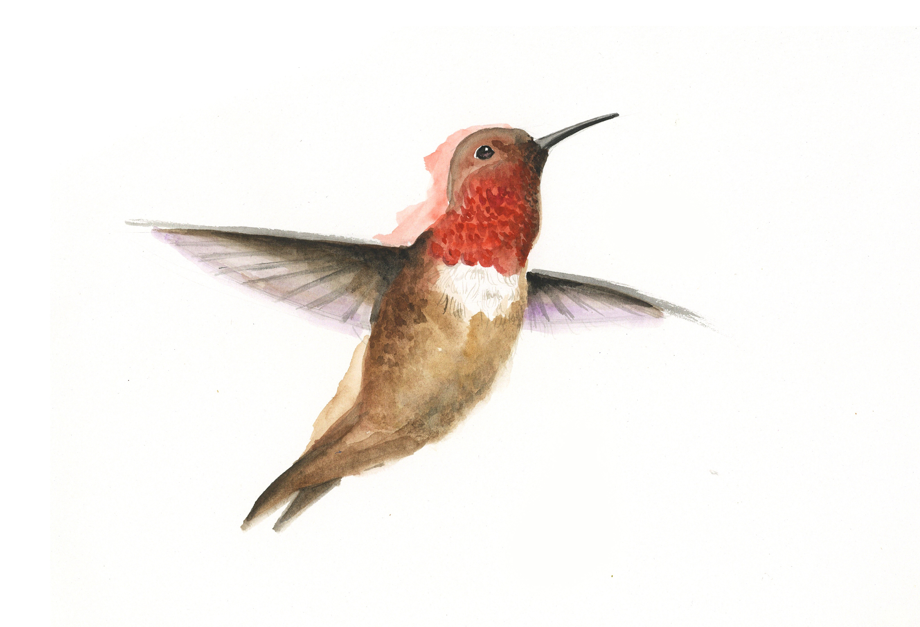 鸟|插画|创作习作|欢欢欢欢欢欢欢 - 原创作品 - 站酷 (zcool)