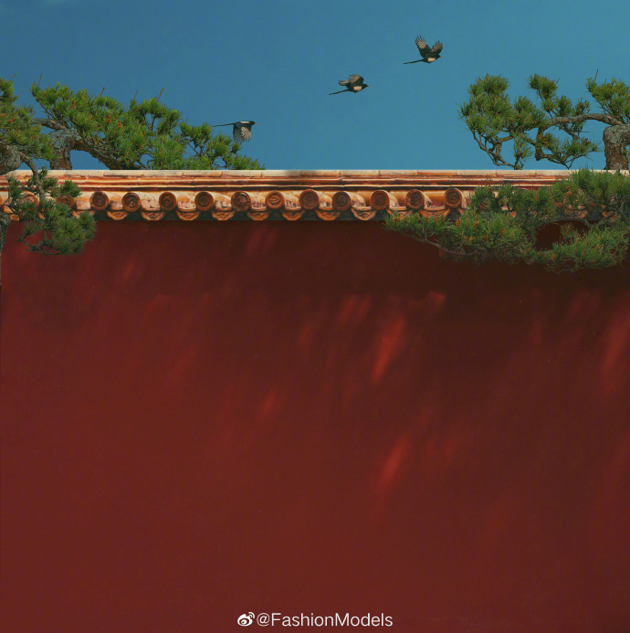 ShuZStudio的个人主页（封面预览） - 主页封面设置 - 站酷设计师ShuZStudio原创素材 - 站酷ZCOOL