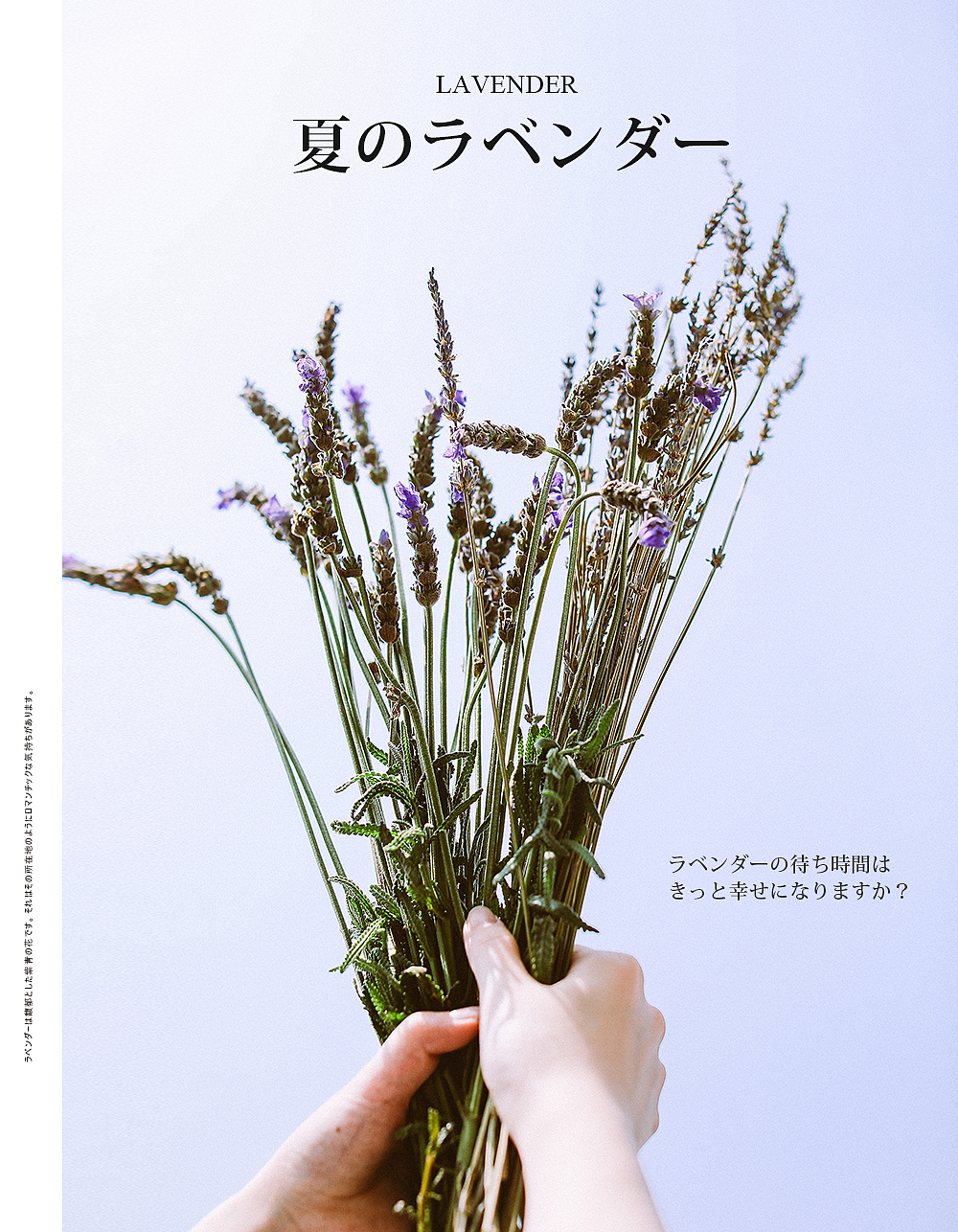 MKMAKANE日本化妆品宣传片拍摄。（图ZMjYxMzU0NzY0） - 产品摄影 - 站酷设计师发耳朵陶子原创素材 - 站酷ZCOOL