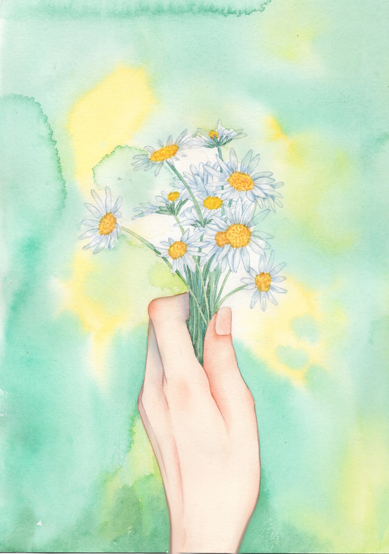 清新治愈的水彩植物|插画|商业插画|和夕夕 - 原创作品 - 站酷 (zcool