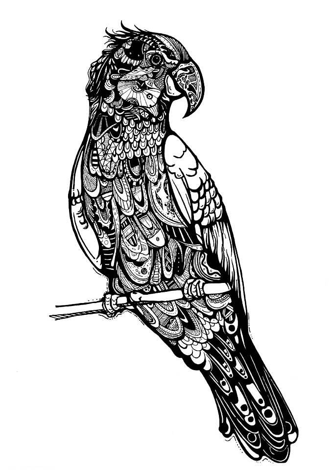 鹦鹉黑白装饰画