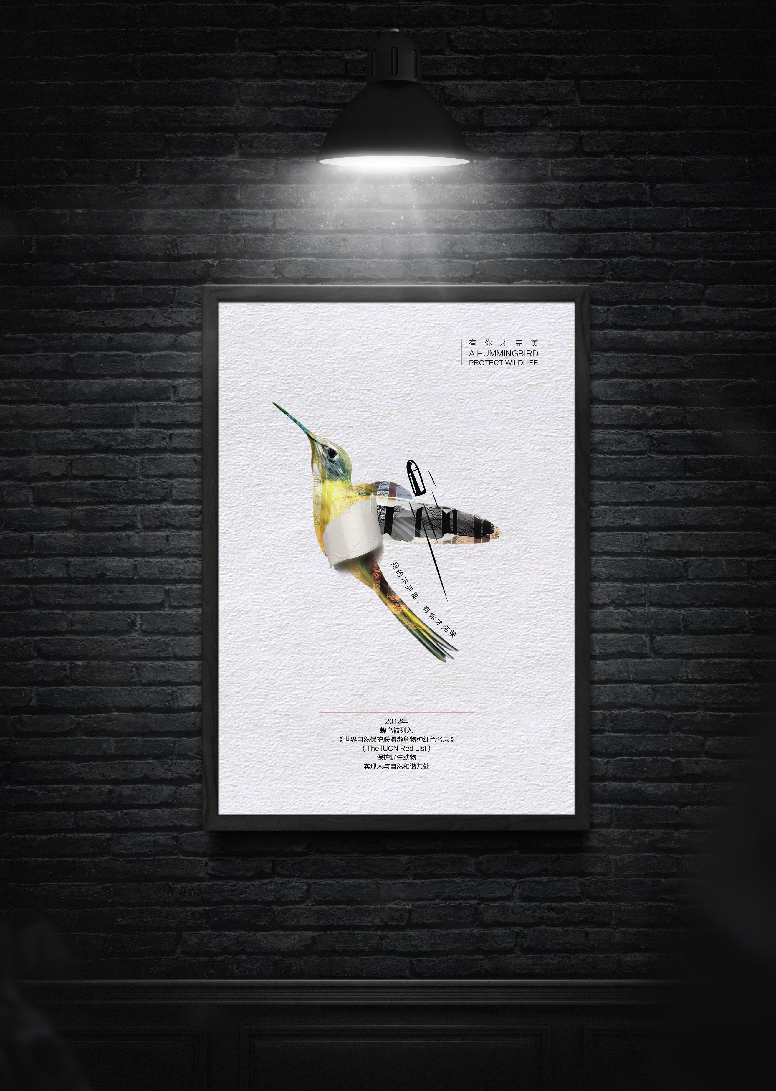 保护野生动物系列公益广告设计