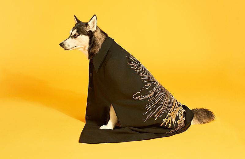 潮品服装+手袋拍摄