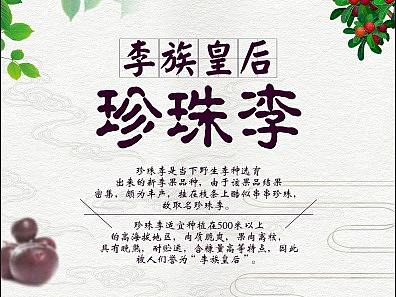 珍珠李（李子）详情（个人主页-ZMzAyMzQyODA=） - 电商 - 站酷设计师向阳奔跑的婷原创素材 - 站酷ZCOOL