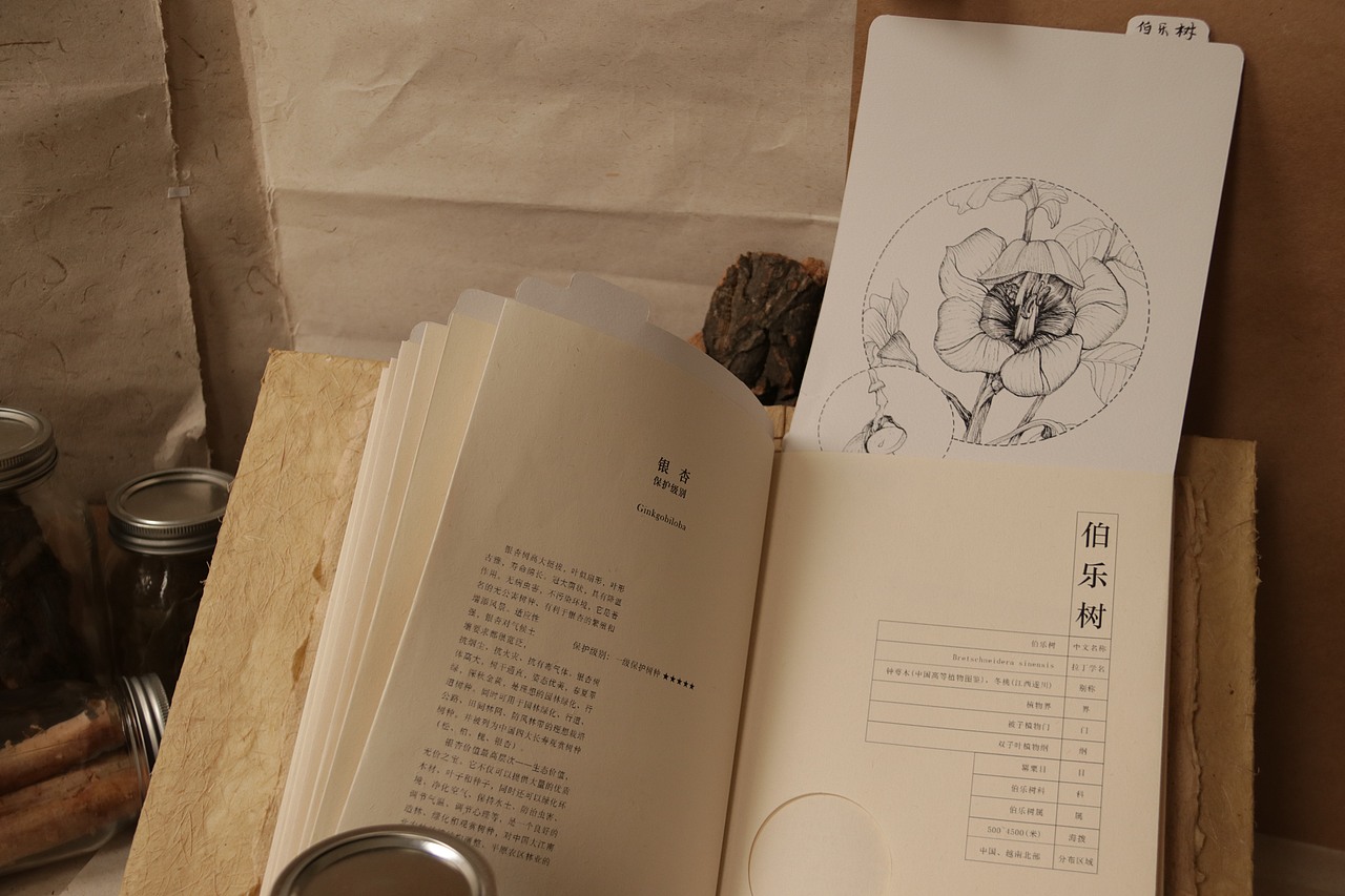 中国濒临树种档案 ｜手工制作书籍（图ZMTIwNzQ1ODk2） - 书籍/画册 - 站酷设计师Cq_H原创素材 - 站酷ZCOOL