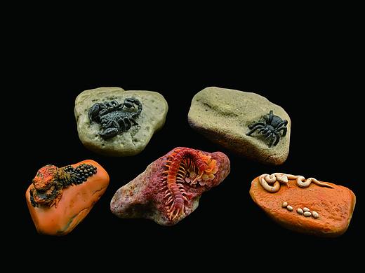 五毒 | 森雅斋（个人主页-ZMjU3MDkxOTY=） - 其他手工艺 - 站酷设计师森雅斋玉石雕刻原创素材 - 站酷ZCOOL