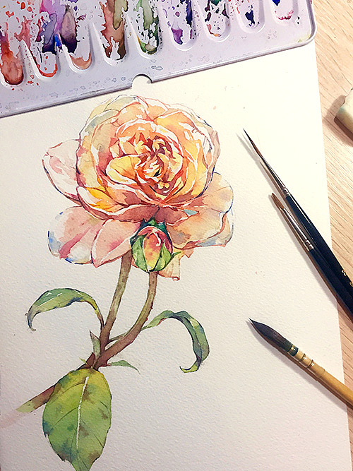 一些水彩植物（图ZMzM3NzUwNjQ=） - 创作习作 - 站酷设计师一点张原创素材 - 站酷ZCOOL