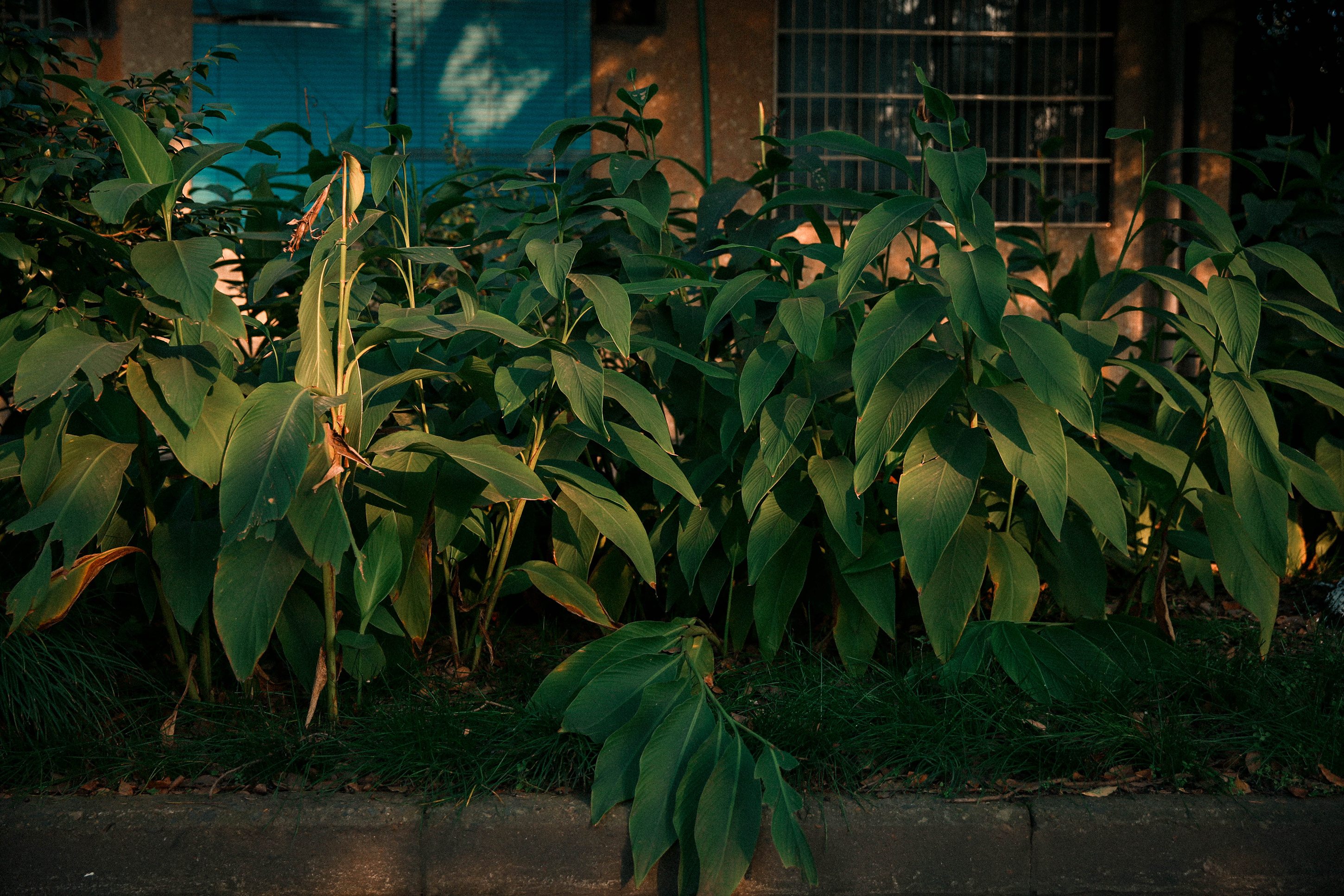 森系少女写真#青春映画诗
