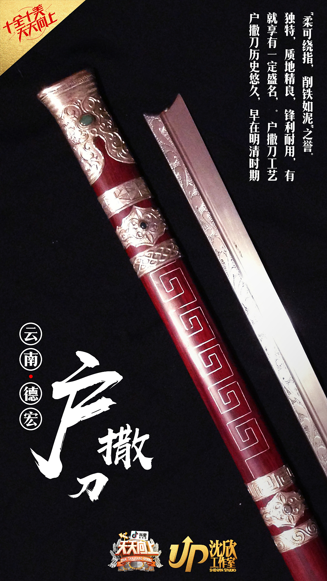 个人节目海报设计