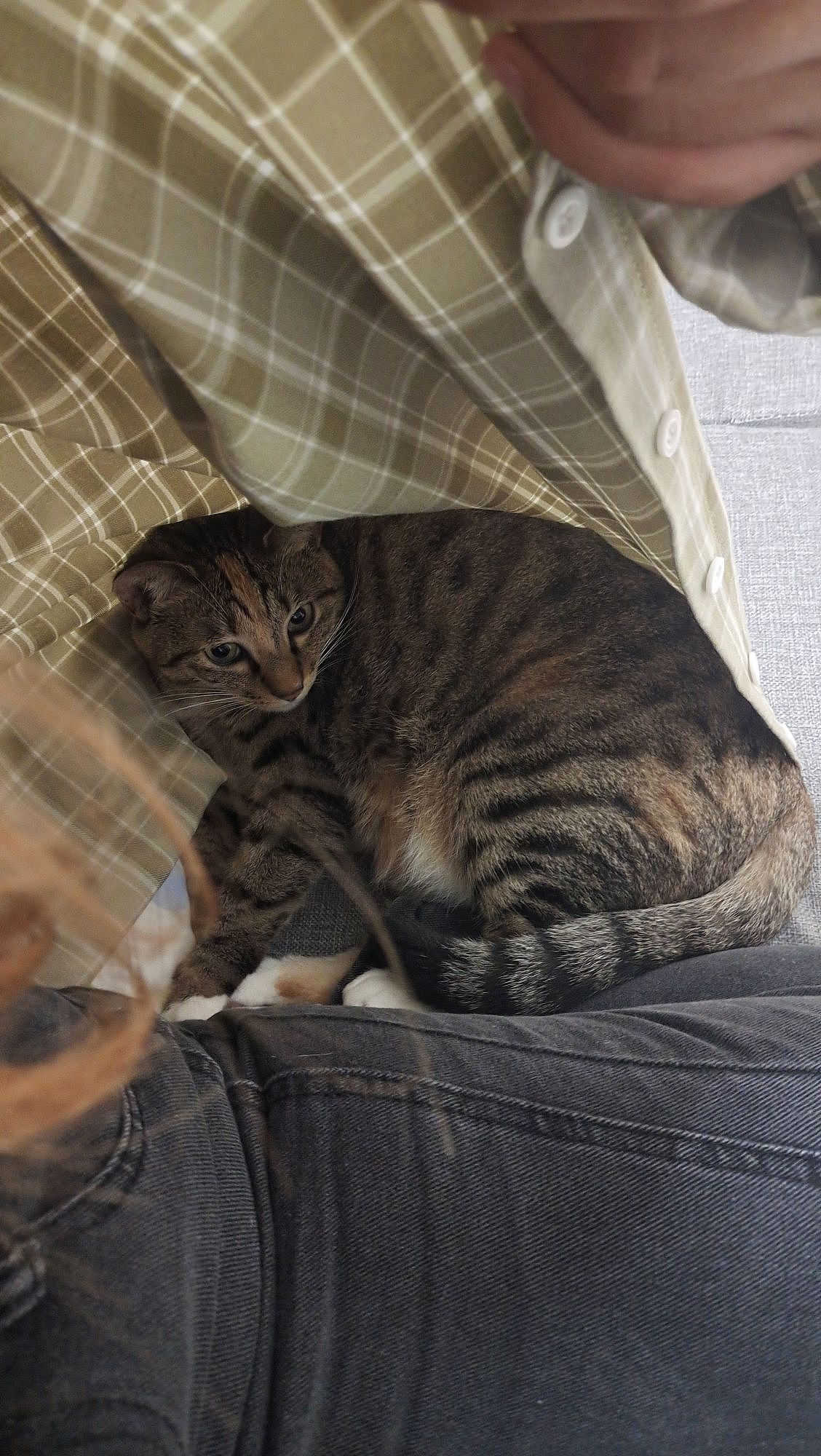 挑战随机挑选相册的图画手账4/30（图ZMzUyOTk5NzQw） - 绘画 - 站酷设计师插画师包子joan原创素材 - 站酷ZCOOL