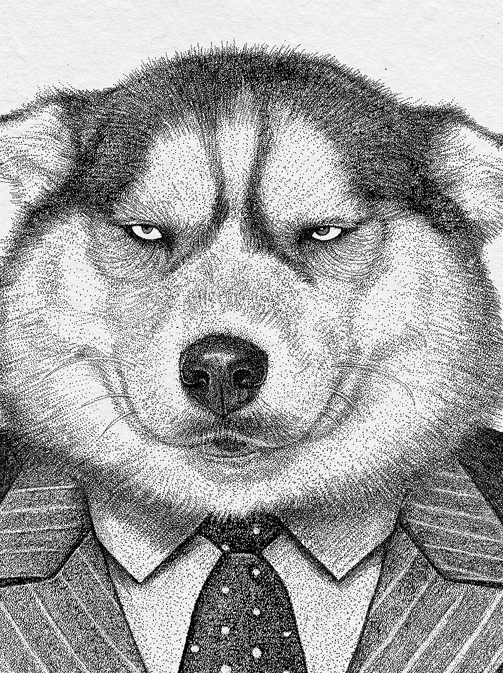 看完财务报表的二哈老板心情很复杂