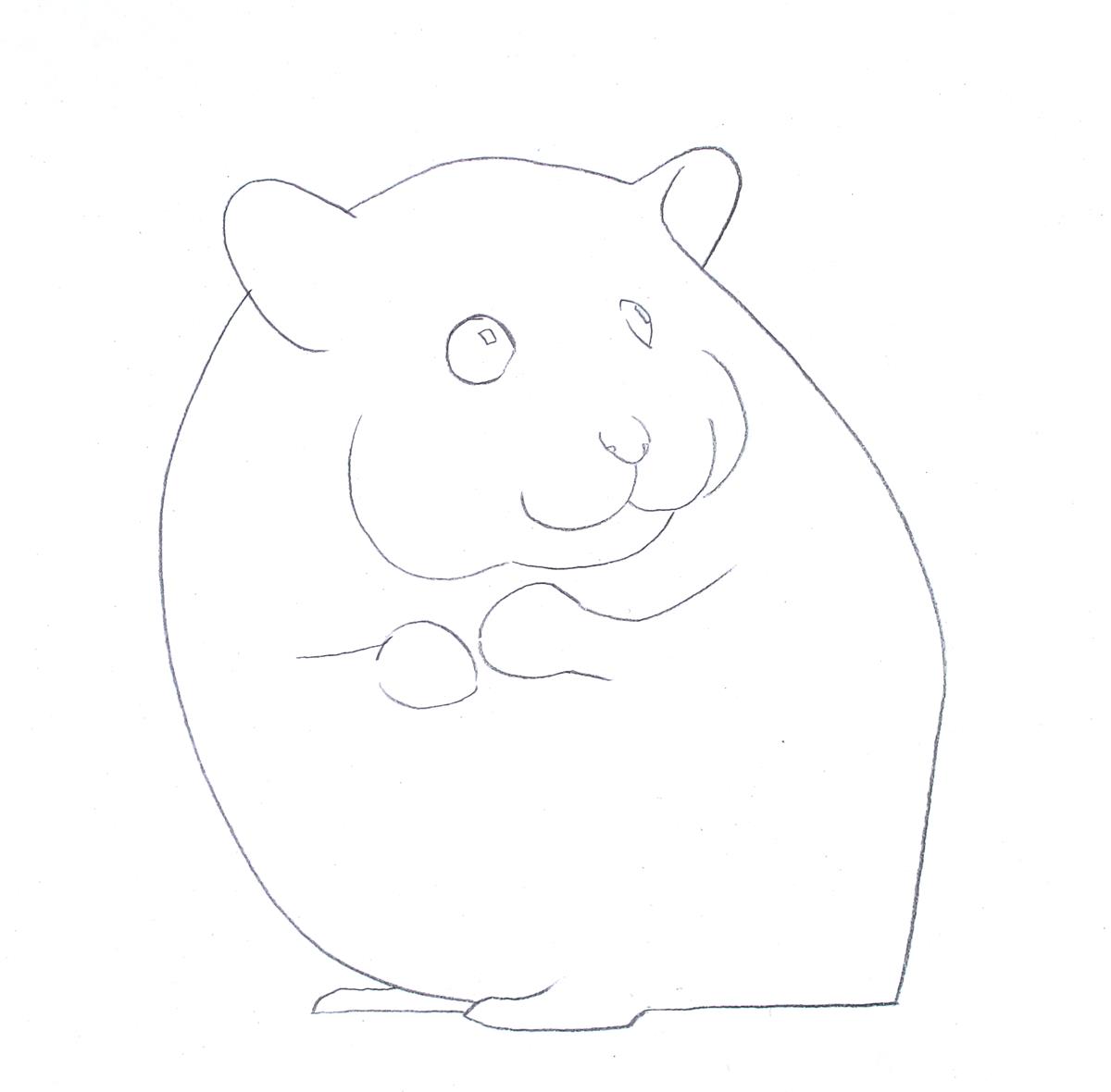 用python画小仓鼠教程_彩色铅笔画步骤教程：小仓鼠的画法-CSDN博客