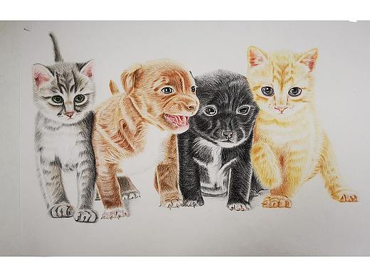 彩铅画-猫猫狗狗