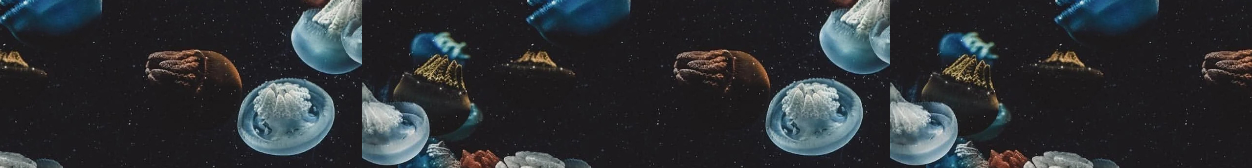 臘梅怎么了的個人主頁（封面預(yù)覽） - 主頁封面設(shè)置 - 站酷設(shè)計師臘梅怎么了原創(chuàng)素材 - 站酷ZCOOL