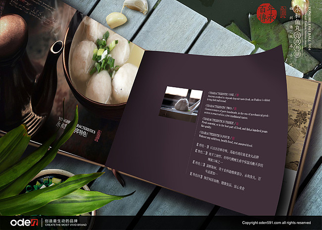 鱼丸画册（图ZMTA5MzUyNjQ=） - 书籍/画册 - 站酷设计师oden奥登文化原创素材 - 站酷ZCOOL