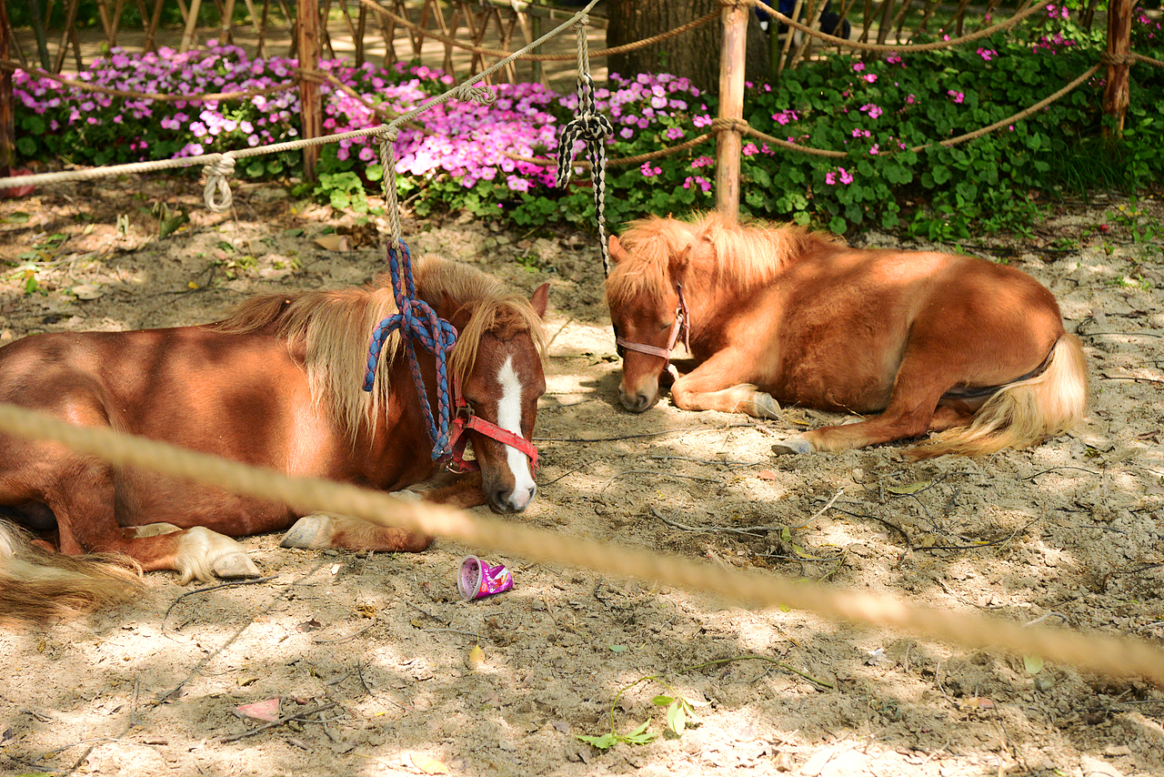 一曲溪流一曲烟