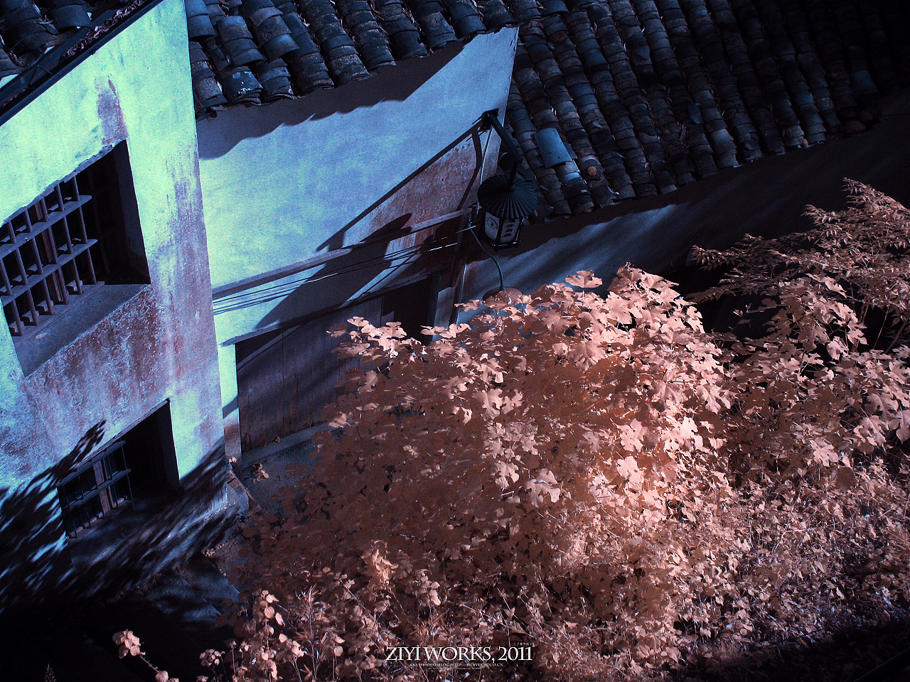 《上善若水，大道齐云》590篇