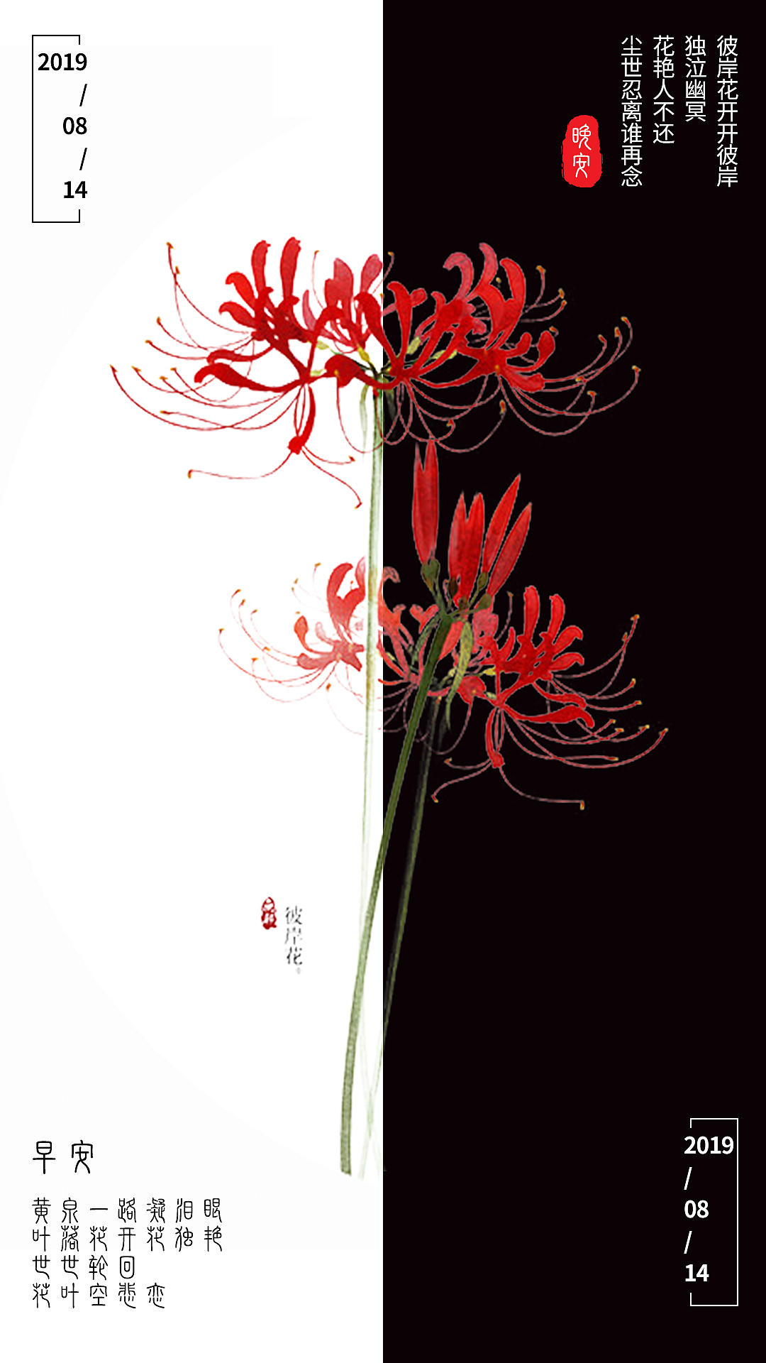 让每一朵花,跟你说早安