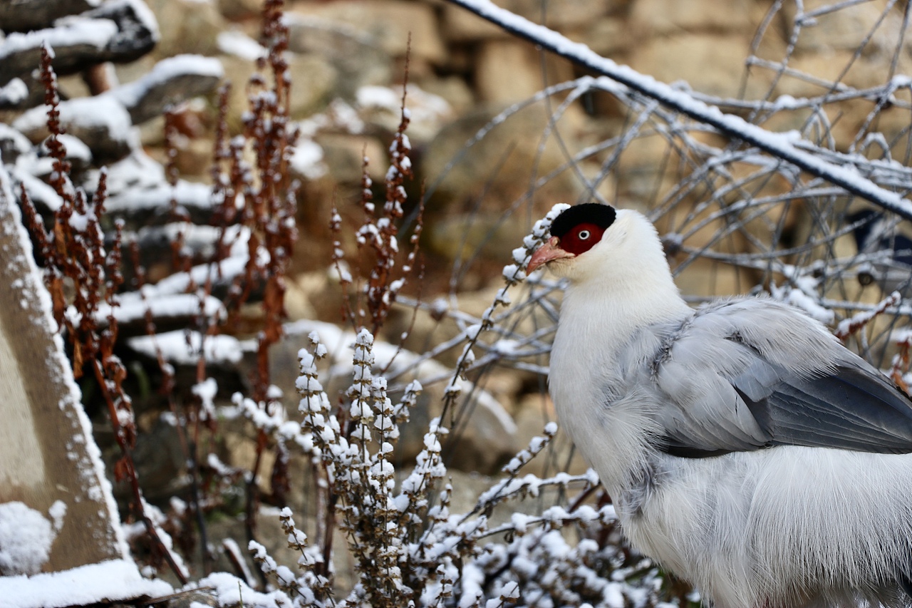 来自拉萨所从未见过的风景