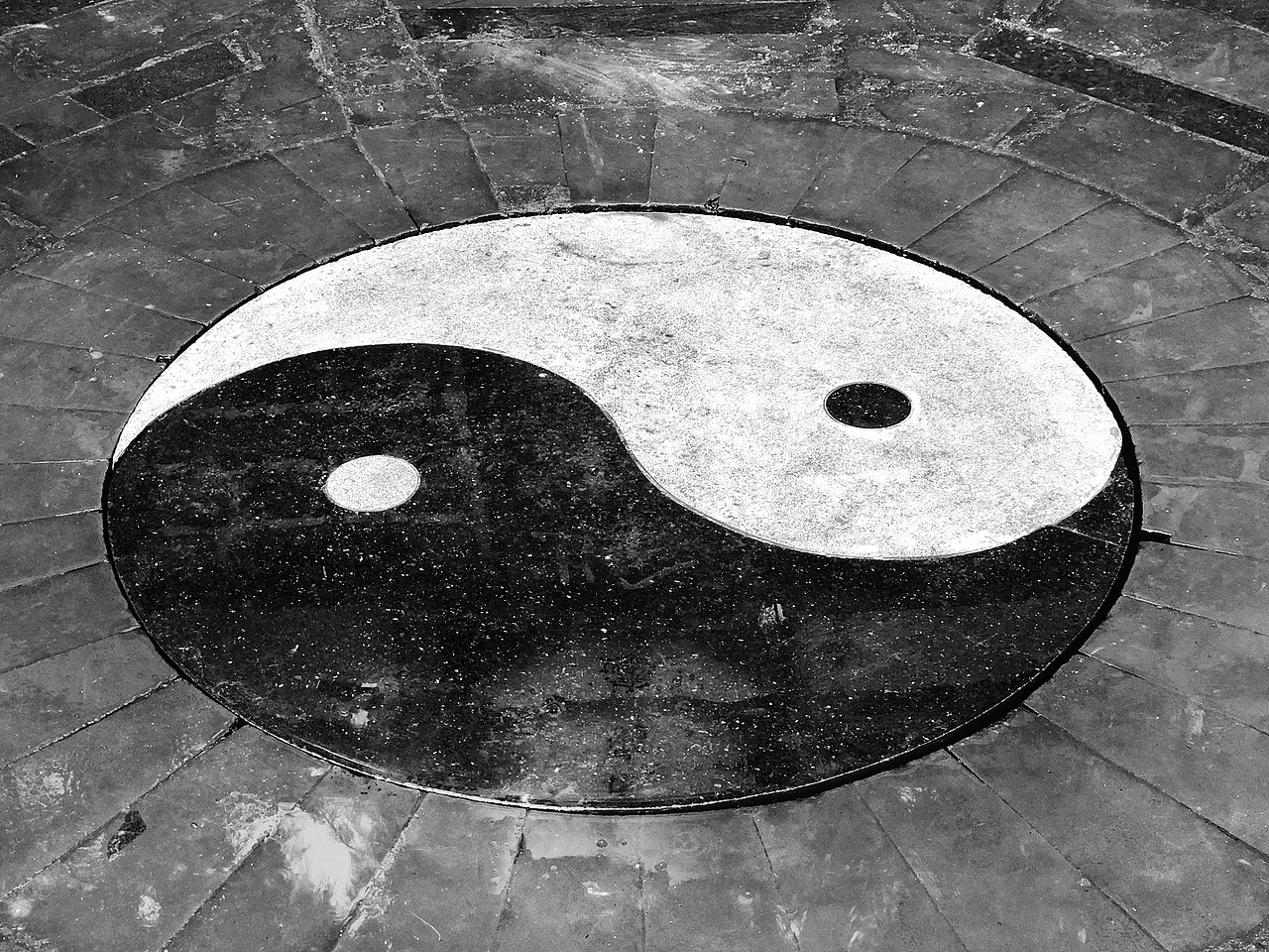 梅朵和父亲的情人节