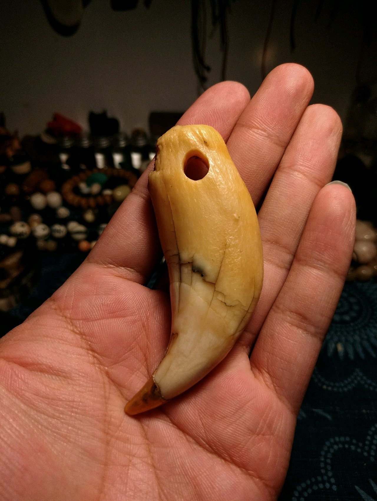 当老北极遇上24K