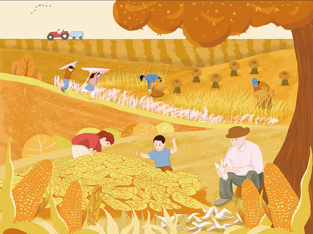 在田间，这群小学生收获“秋收的快乐” - 动态 - 新湖南