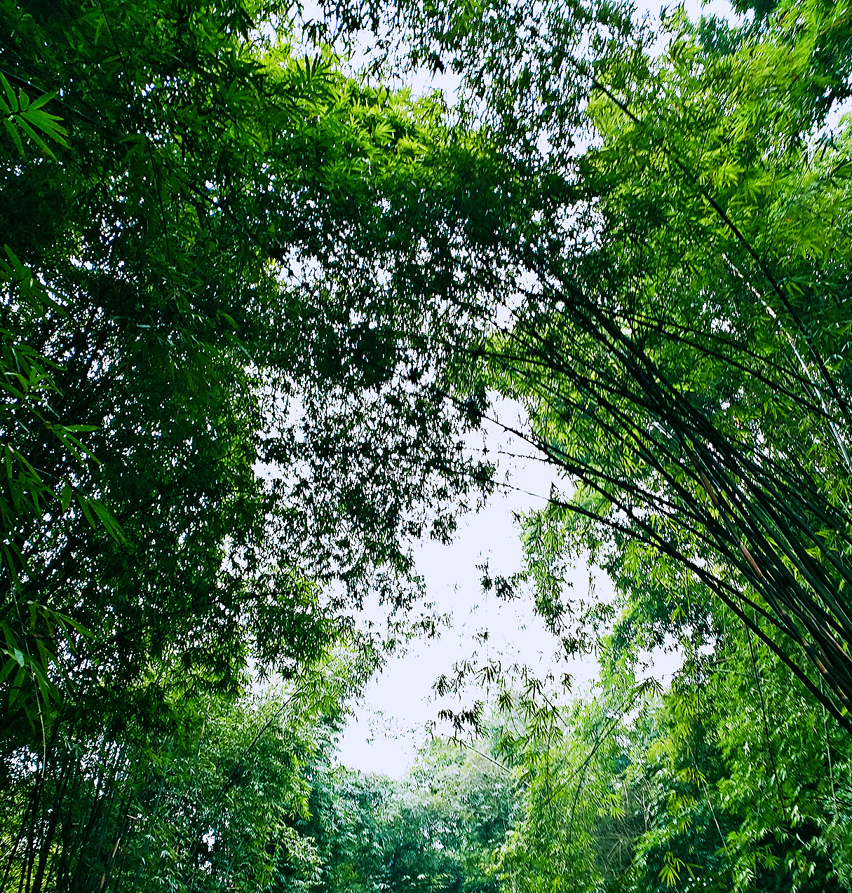 平落古镇（图ZNzI0NTkzMTI=） - 风光摄影 - 站酷设计师miaomi5567777原创素材 - 站酷ZCOOL