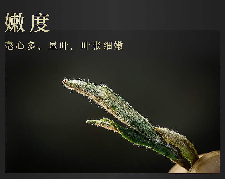 茶叶 详情页（图ZMjQ3MzAyMjky） - 电商 - 站酷设计师汐悦电商品牌策划原创素材 - 站酷ZCOOL